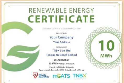 Renewable Energy Certificates (RECs) .